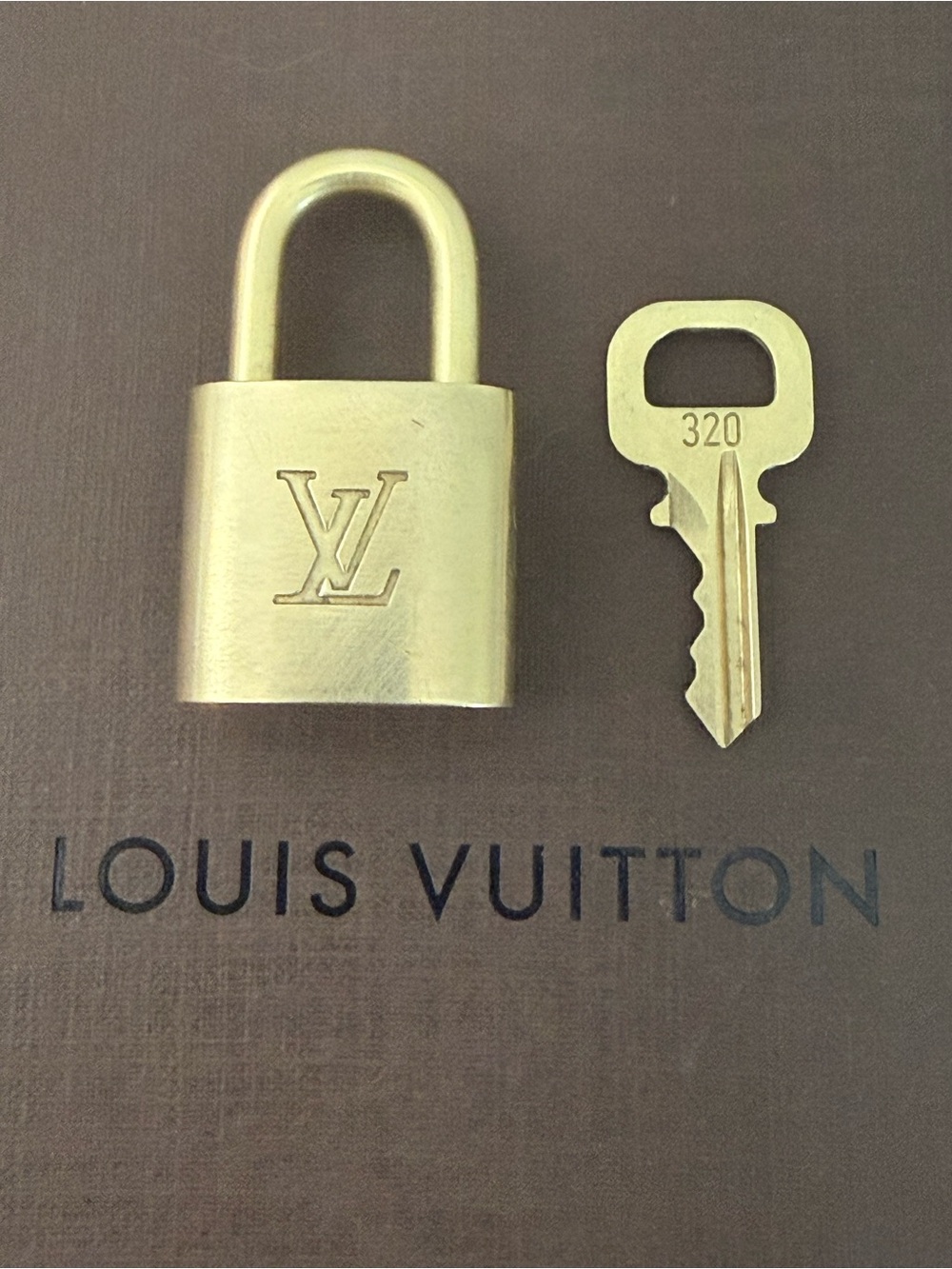 LOUIS VUITTON Lock & Key #320